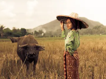 Bangkok feiert Königin Sirikit: 2.500 Bürger zelebrieren Dankbarkeit!