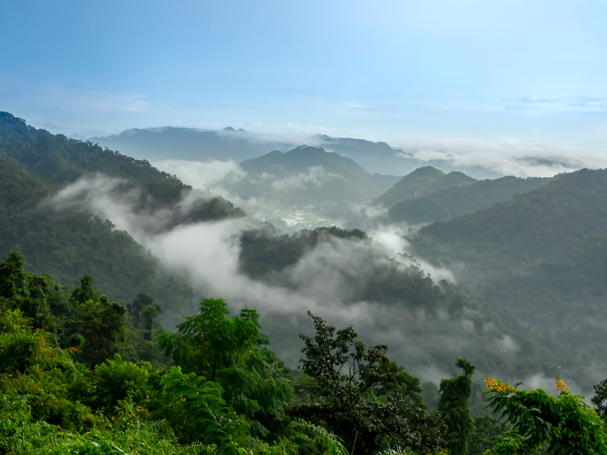 Thailand im Mineralien-Rausch: Chancen und Gefahren beim Bergbau!