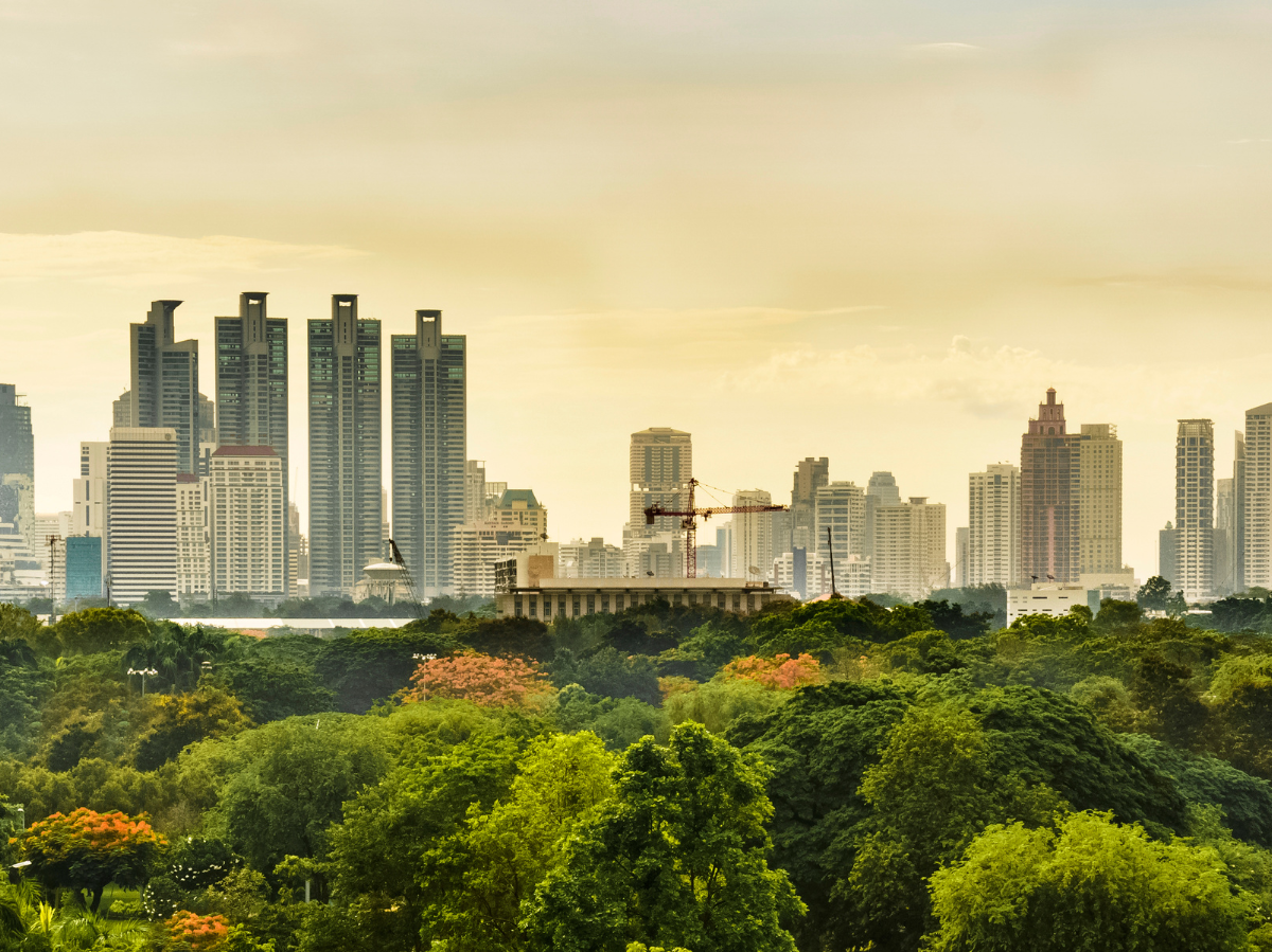 Fertiggerichte in Thailand: Marktboom bis 2025 – Was Verbraucher erwarten!