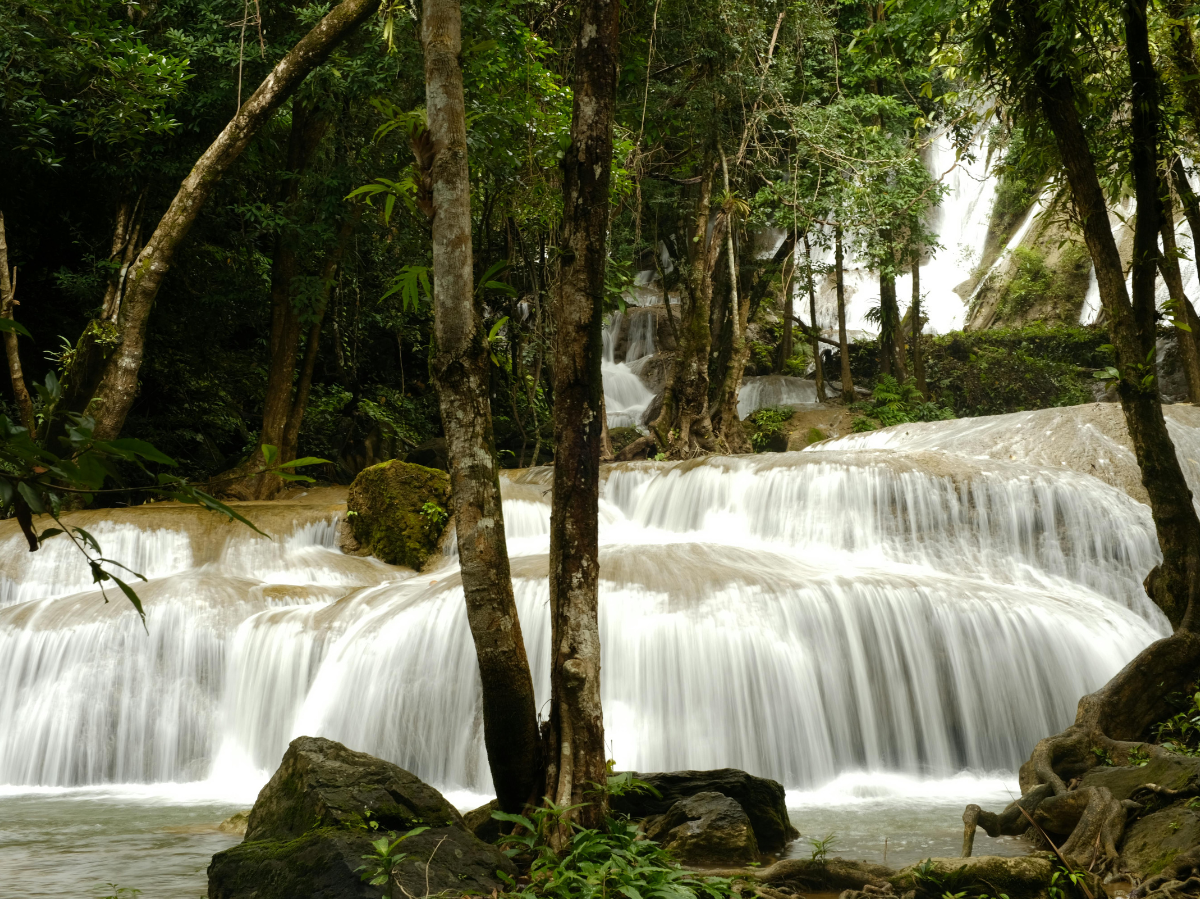 Thai Airways startet umweltfreundliche Flotte mit Airbus A321neo!