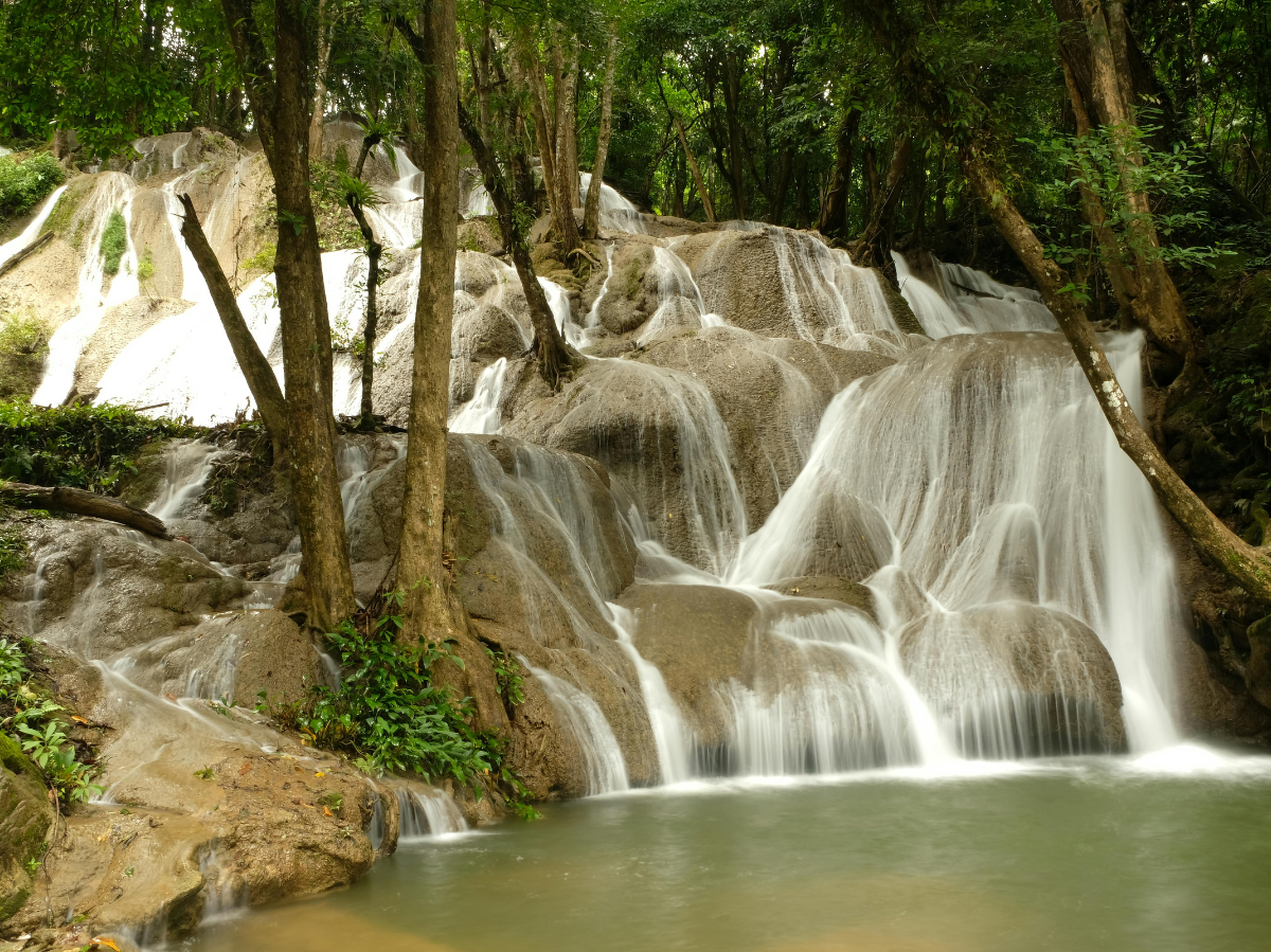 Kältewelle im Anmarsch: Weihnachten 2025 wird frostig!